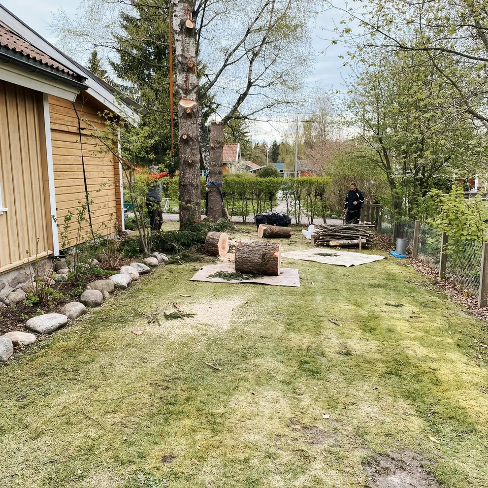 arboristtjanster tradfallning sektionsfallning balsta stockholm uppsala